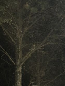  16” X 6” Wye Mechanical Joint MJ C153 Sigma Cement Lined Bituminous Coat Ductile Iron. Water main fitting. Mfr Sigma, import, China.