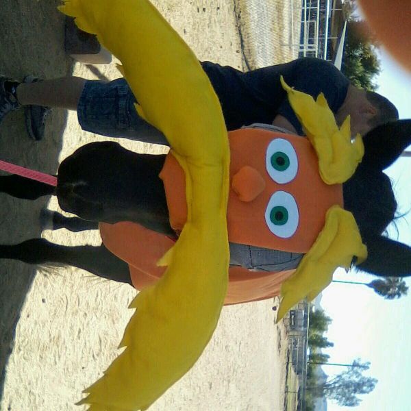 The Lorax Horse Costume