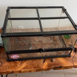 Snake/Reptile Enclosure