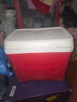 Igloo cooler