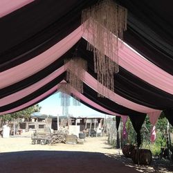 Canopy/draping 
