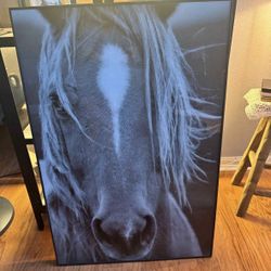 Horse Wall Art 