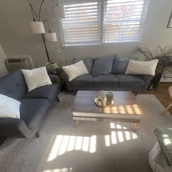 Modern Mid-Century Sofa Set – Two Matching Couches in Excellent Condition