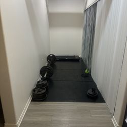 Weights And Bar