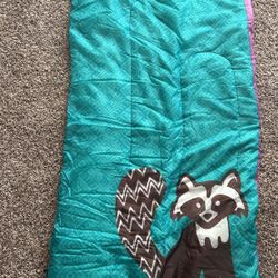 Kids Ozark Trail Sleeping Bag. 