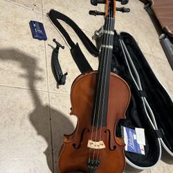 Violin
