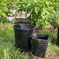 Nursery Pots 1 Gallon 