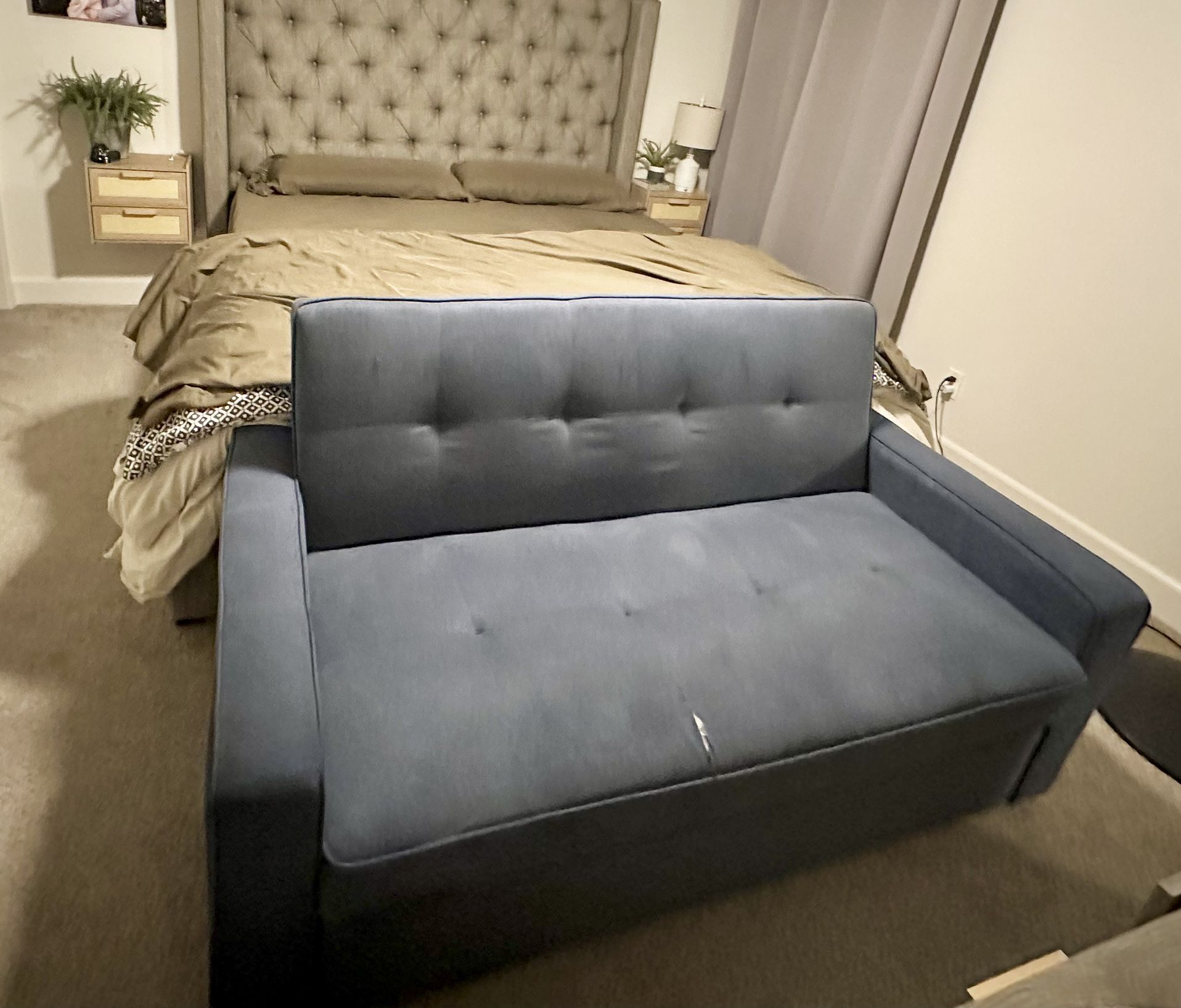 Blue Pull Out Couch 