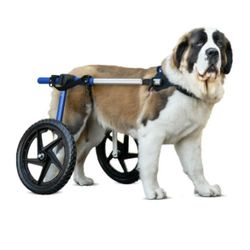 Walkin' Wheels Large Dog Wheelchair