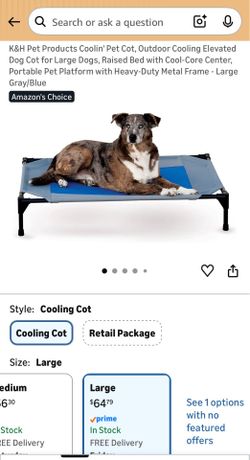 Cooling elevated dog cot bed