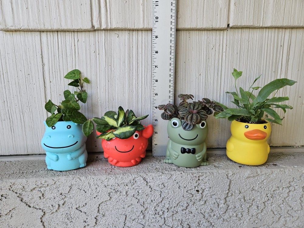 Animal Planters With Live Plants π¦π¦π¦πΈ