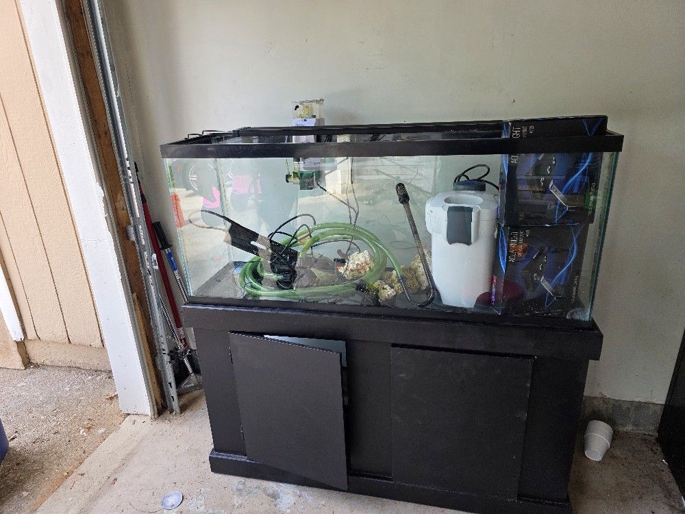 55gl Aquarium
