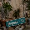 Miguel