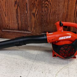 Echo Pb-2520 Handheld Blower 