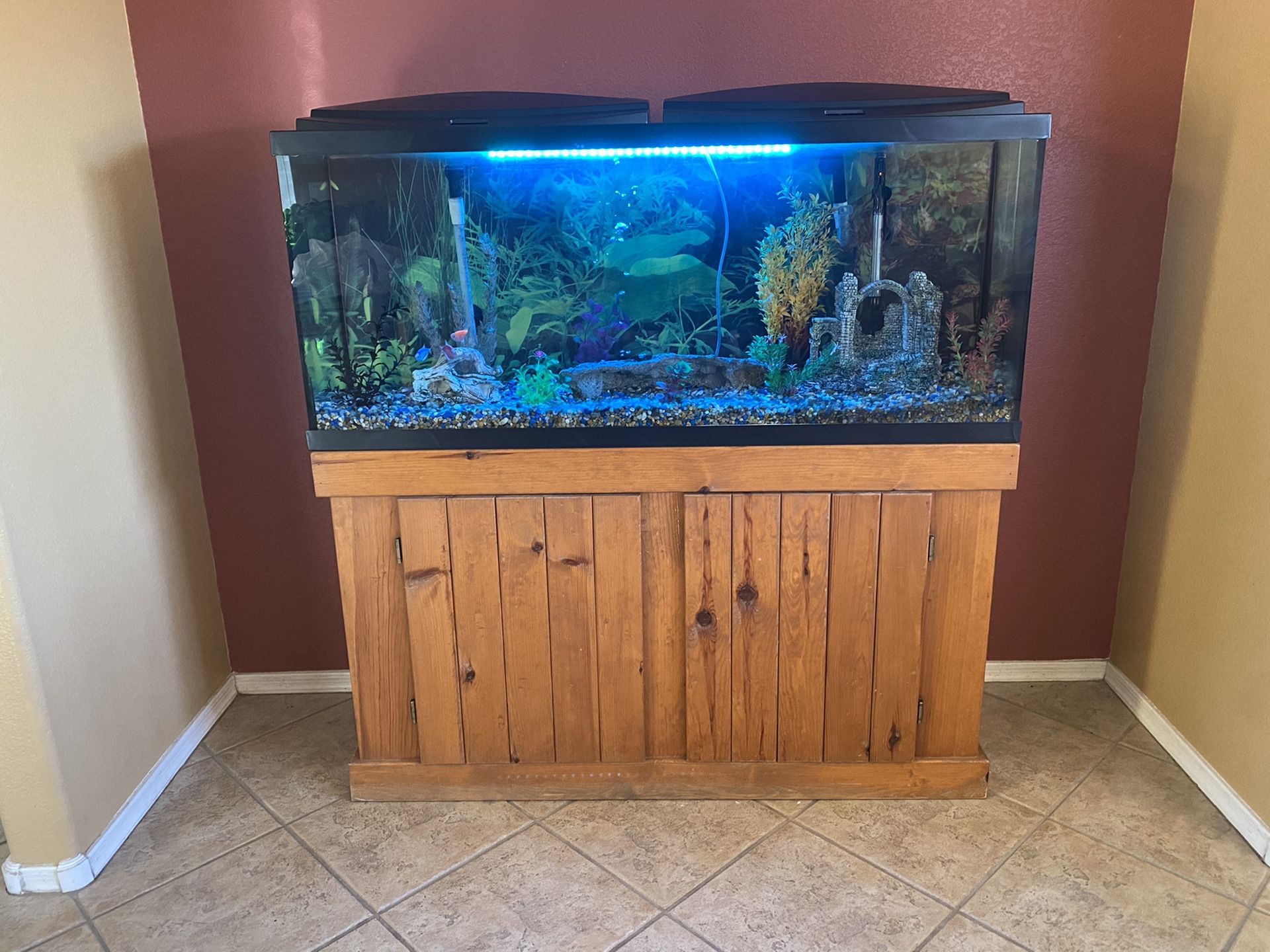 55 Gallon Aquarium with stand & fish