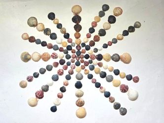 130 Natural Scallop Shells for Crafts Seashells (2/8"–1 3/4") for Decor