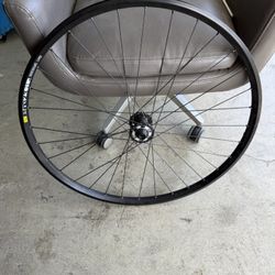 Bike Rim