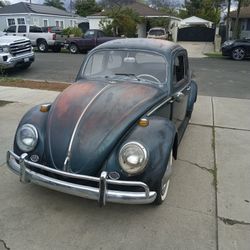 1964 Vw Beetle 
