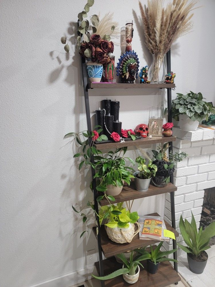 Ladder Shelf