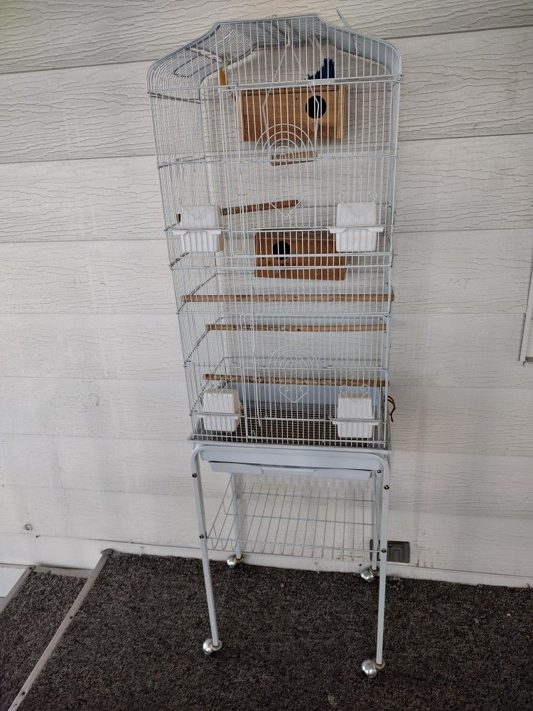 Bird Cage