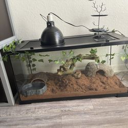 40 Gal Terrarium