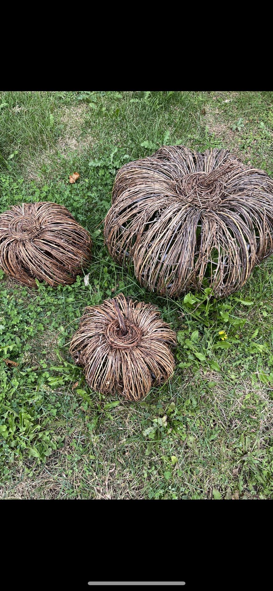 Halloween grapevine pumpkins 