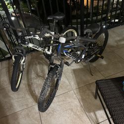 2 kids Bike