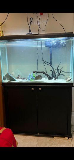 Fish thank with stand