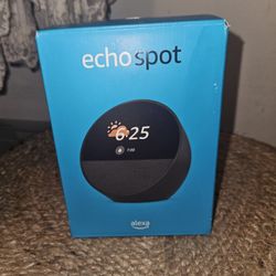 Echo Spot 