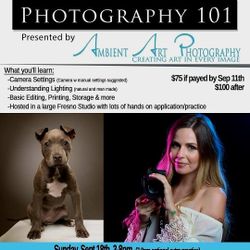 Beginners Digital Photography Class 