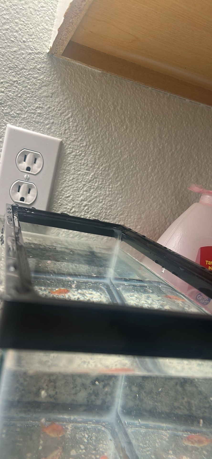 Fishes