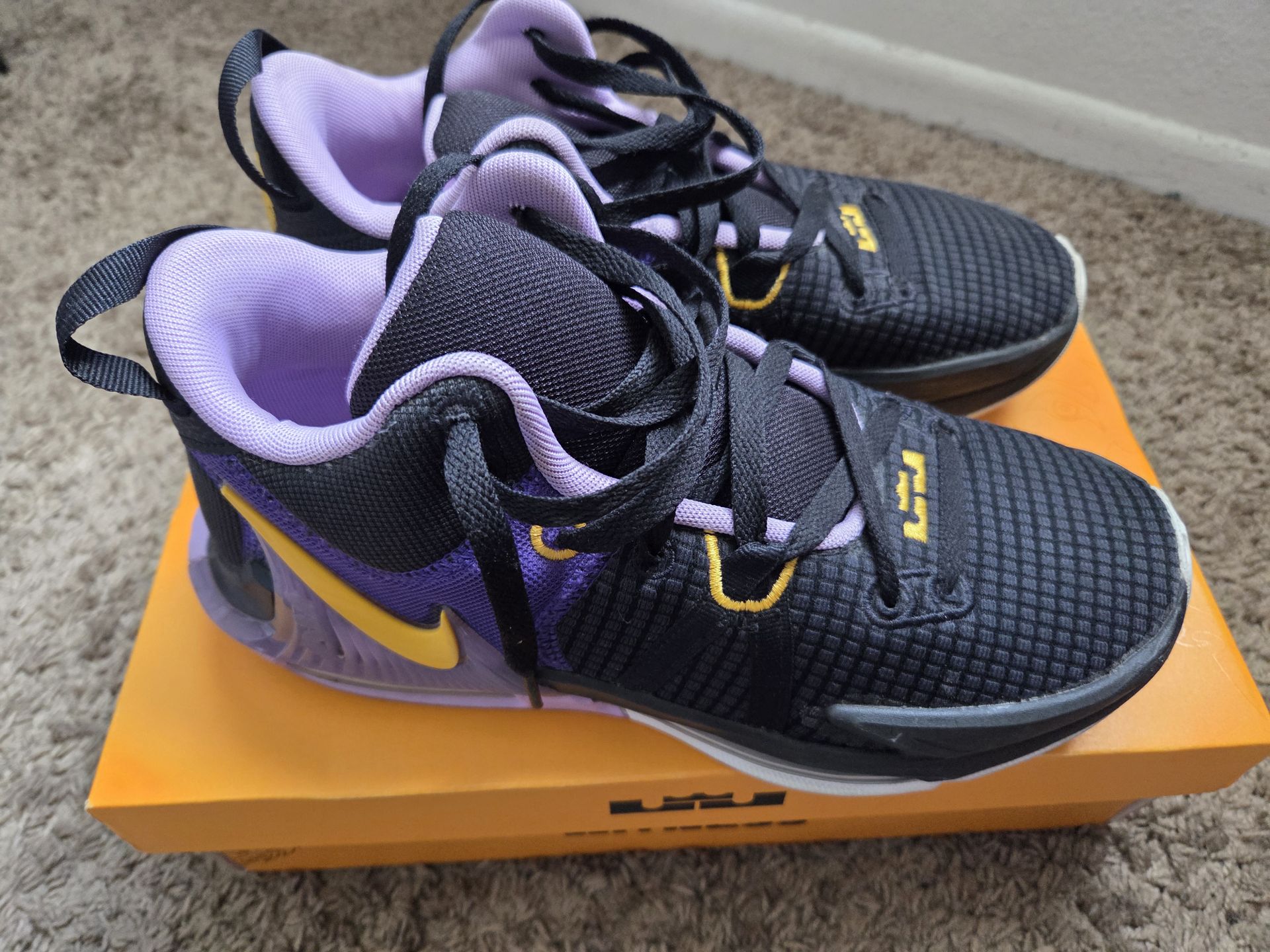 Lebron Witness VII