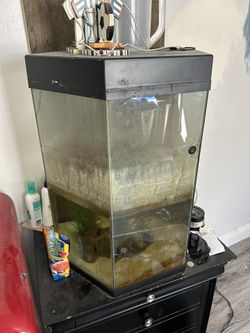 20 Gallon Fish Tank With Filter