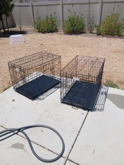 4 dog cages