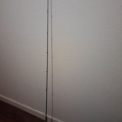 Berkley Fishing Pole 