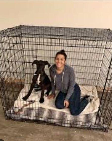 Xxl Dog Crate 