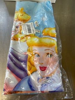 Large Disney princess flag