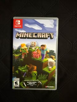 Minecraft Nintendo game