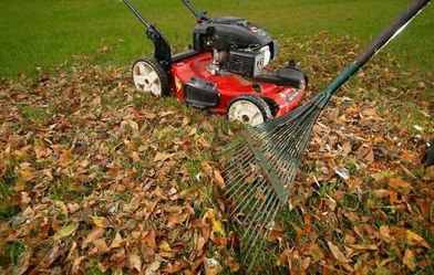 Mowing Lawns And Raking Leaves Jobs IN MINNESOTA ONLY!!