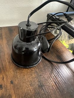 Terrarium Lamp