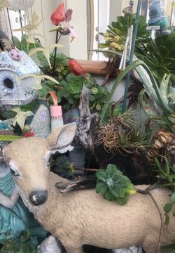 Garden deer