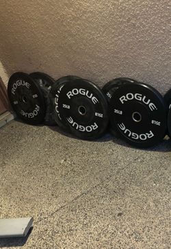 ROGUE ECHO V2 BUMPER WEIGHTS NEW OUT THE BOX 2x10, 2x25 and 2x35 lbs $220