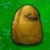 Armando