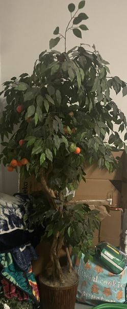 Decorative Tree Home Decor $40