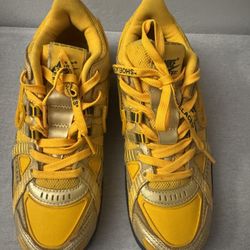 Nike Air Rubber Dunk