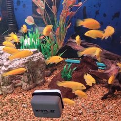 Fish Tank Decoration 