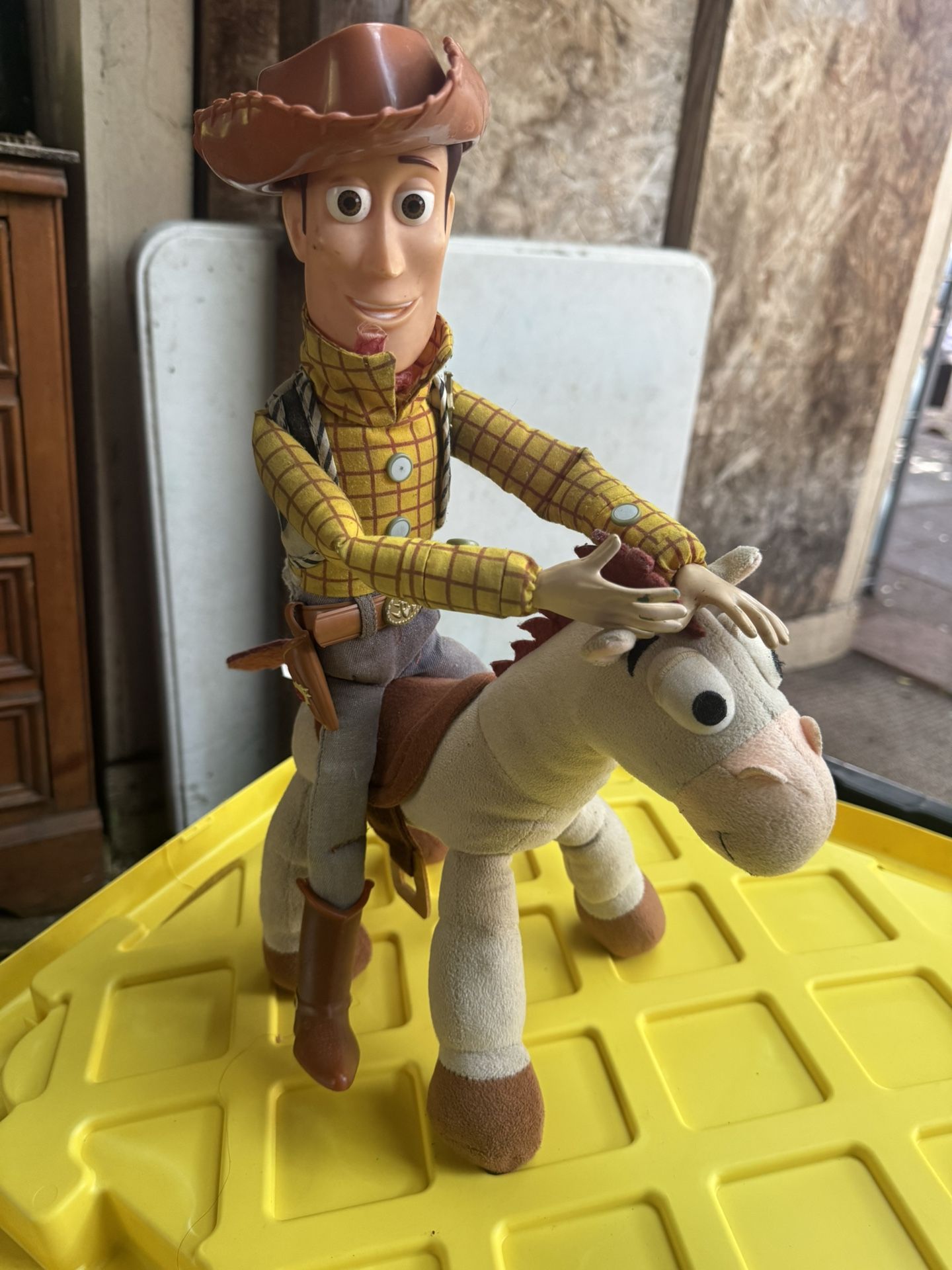 Woody And His Horse