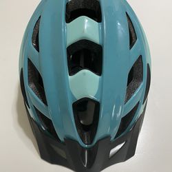 Schwinn Helmet 