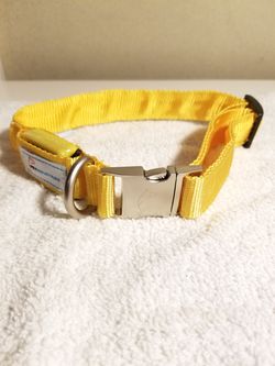 LED Dog Collar