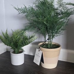 Small Artificial Plants